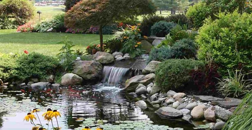 A landscaped garden pond with lily pads, a small waterfall, rocks, and various green bushes and flowering plants surrounding the water under a clear sky.
